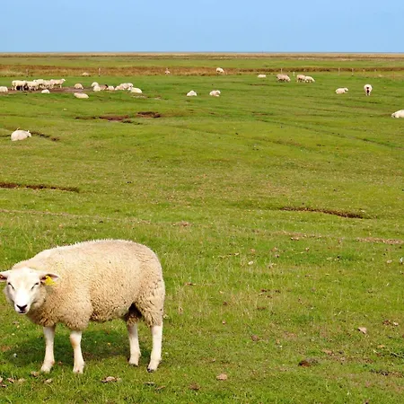 Charming Retreat On Mando - By Traum * Mandø By